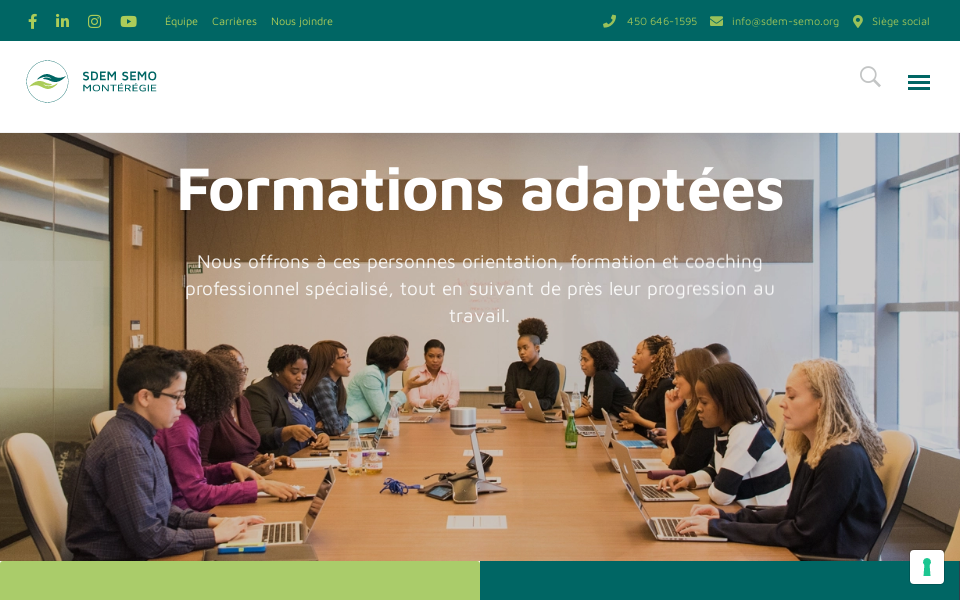 sdem-semo.org/ screen capture