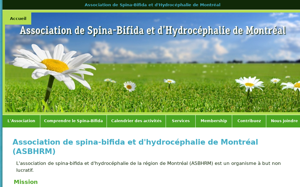 spina-bifida-montreal.ca/ screen capture