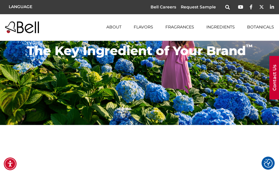 bellff.com/ screen capture