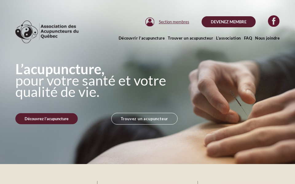 acupuncture-quebec.com/ screen capture