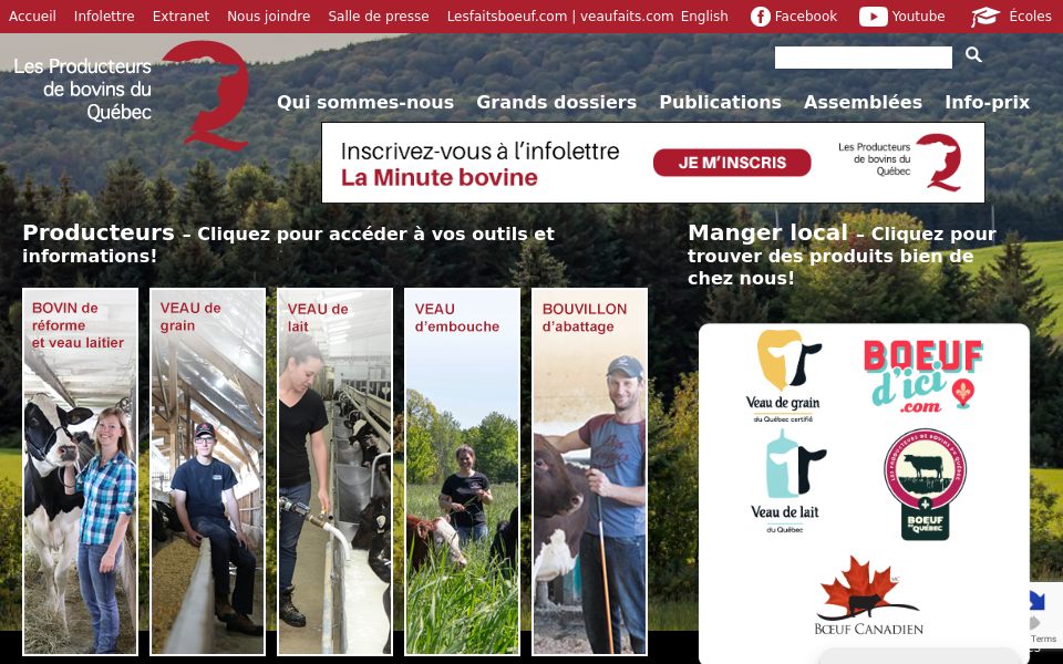 bovin.qc.ca/ screen capture
