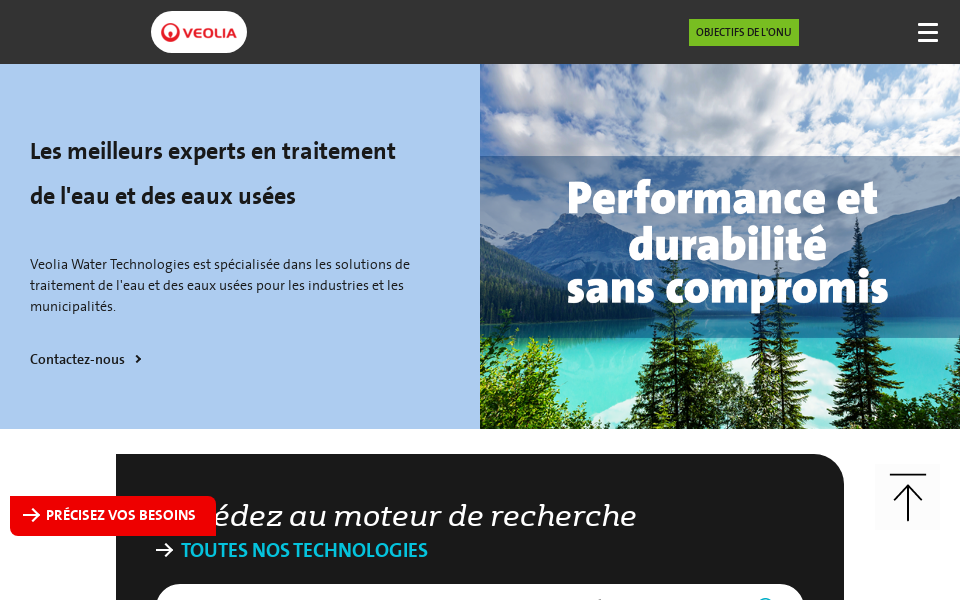 www.veoliawatertech.com/fr screen capture