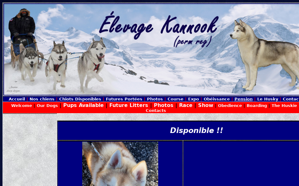 kannook.com/ screen capture