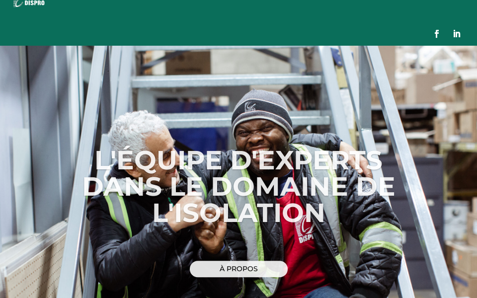 dispro.com/ screen capture