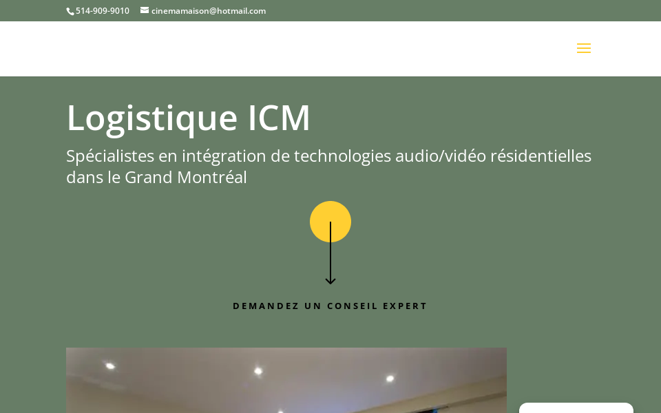 logistiqueicm.com/ screen capture