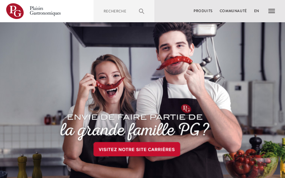 www.plaisirsgastronomiques.com/ screen capture