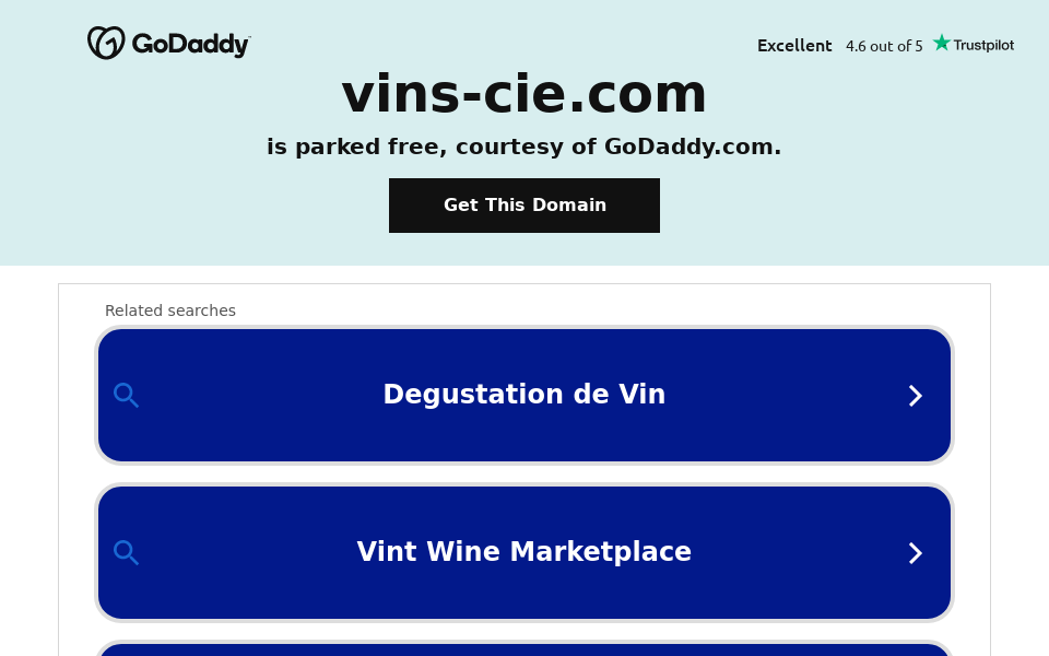 www.vins-cie.com/ screen capture