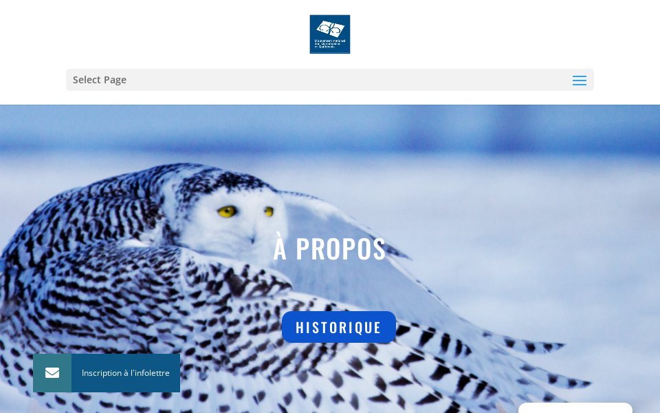 mnq.quebec/ screen capture