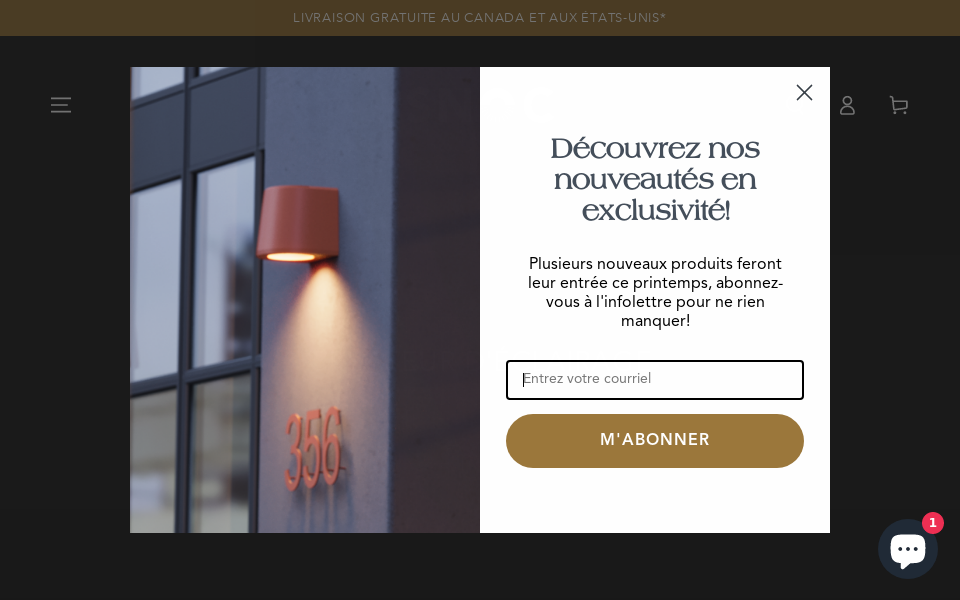 snoc.com/ screen capture