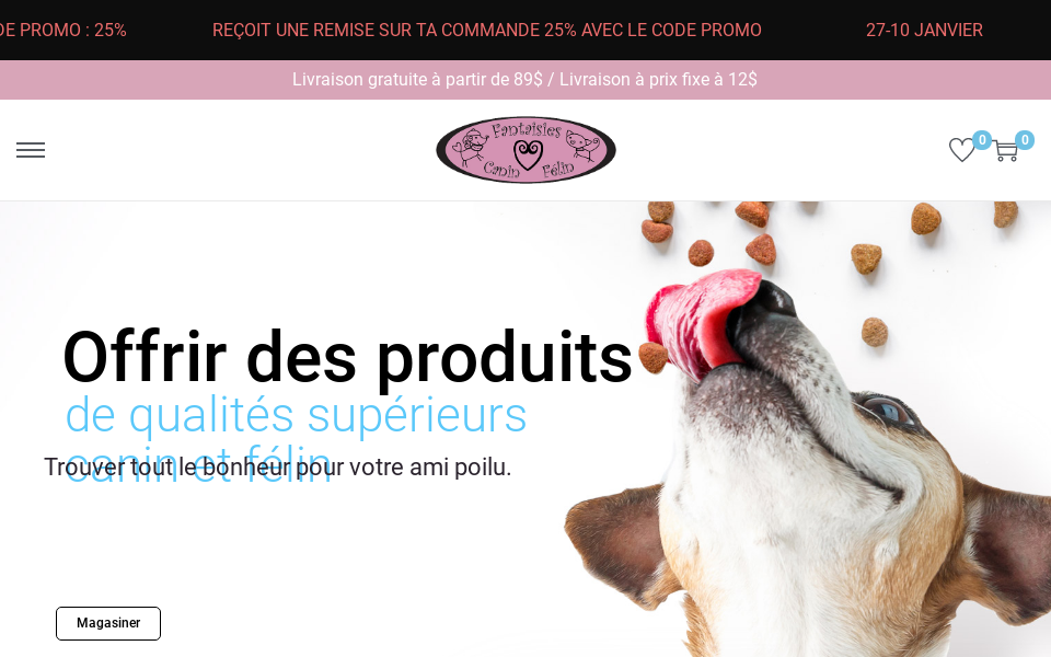 fantaisiescaninfelin.com/ screen capture