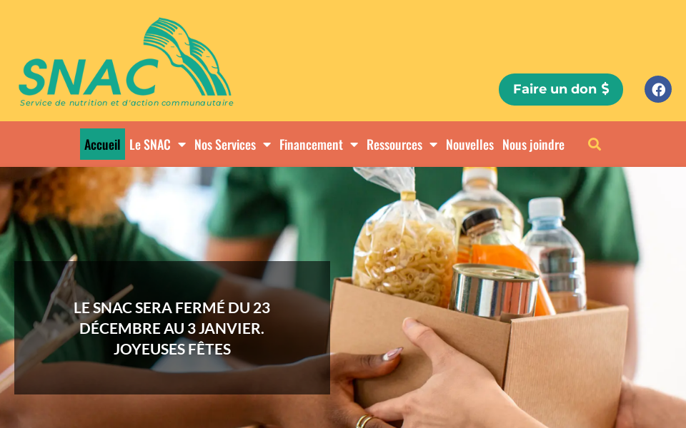 lesnac.com/ screen capture