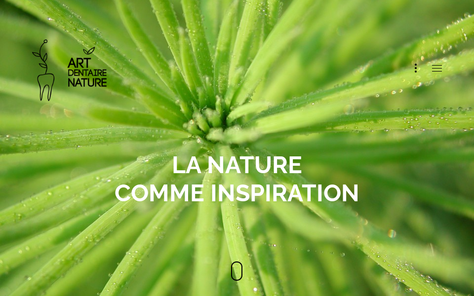 www.artdentairenature.com/ screen capture