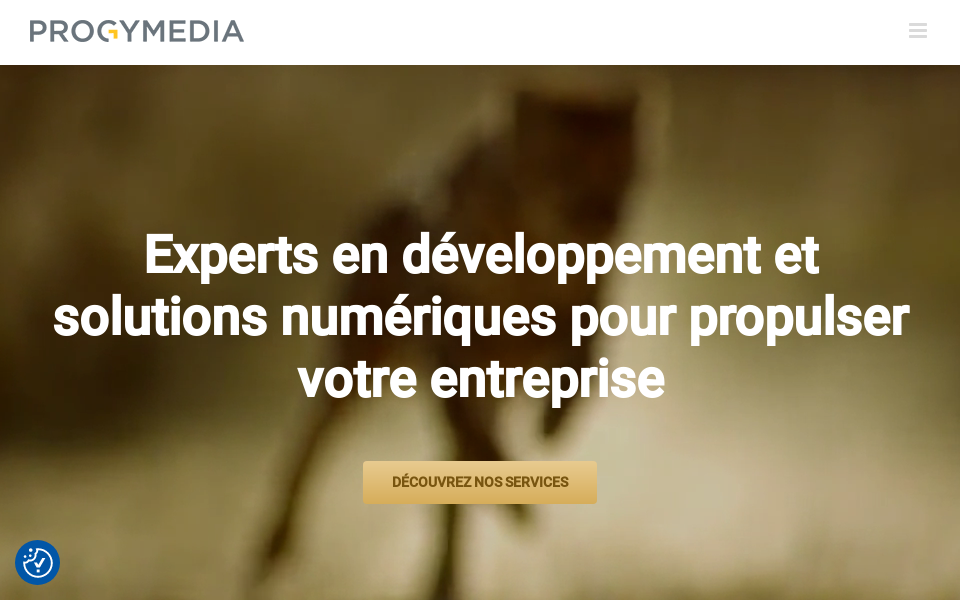 www.progymedia.com/ screen capture