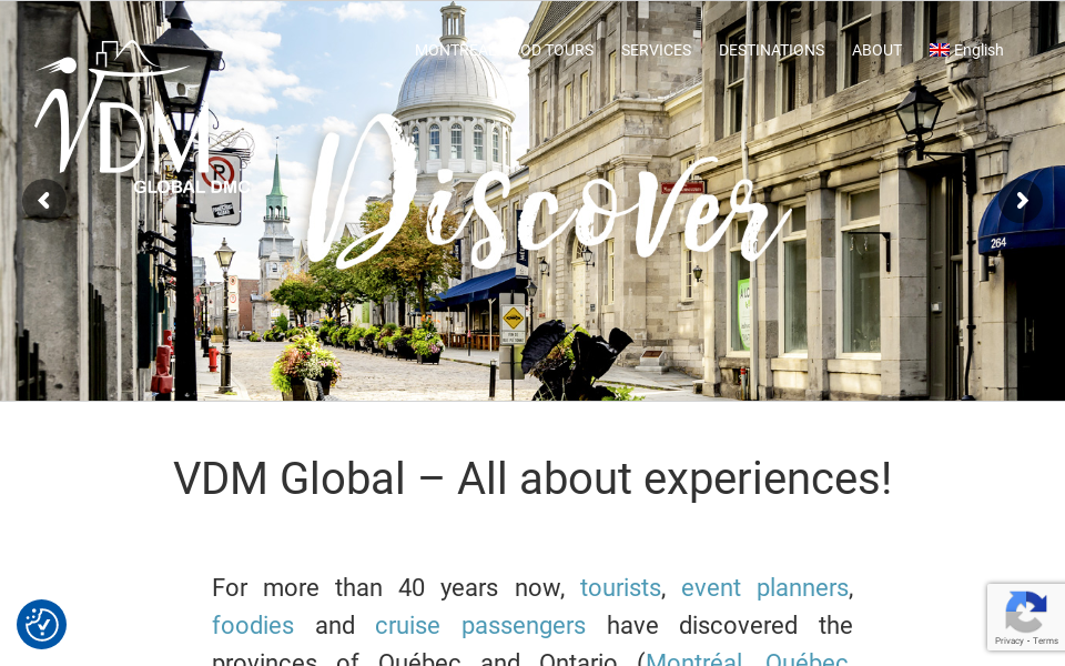 vdmglobal.com/ screen capture