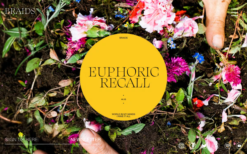 braidsmusic.com/ screen capture