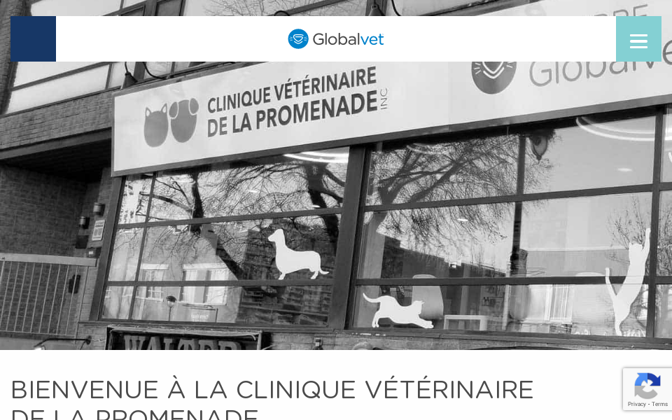 globalvet.ca/clinique/clinique-veterinaire-de-la-promenade/ screen capture