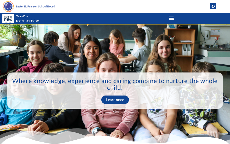terryfox.lbpsb.qc.ca/ screen capture