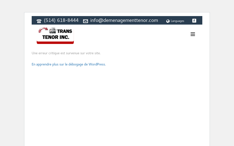 www.facebook.com/demenagement.tenor/ screen capture