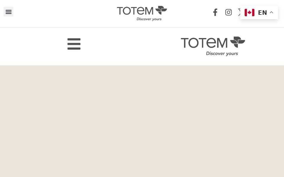 totemacoustic.com/ screen capture