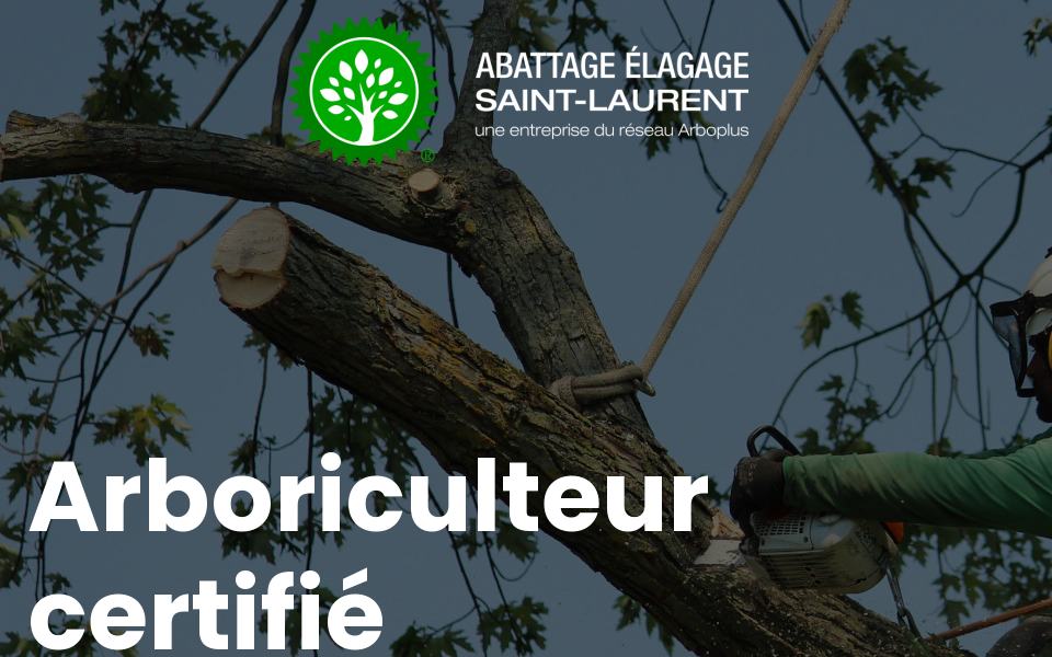 arbo-saintlaurent.net/ screen capture