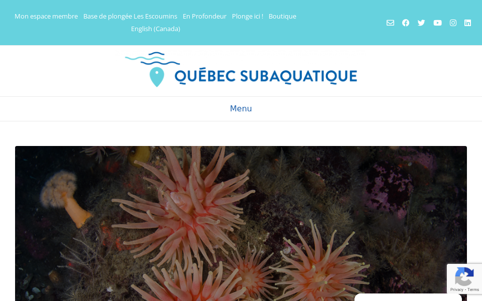 fqas.qc.ca/ screen capture