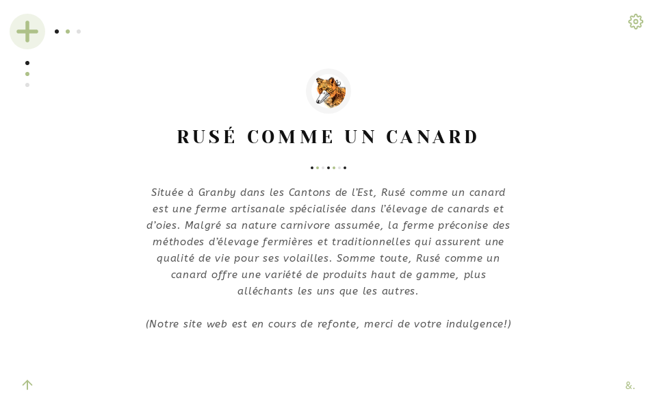 rusecommeuncanard.com/ screen capture