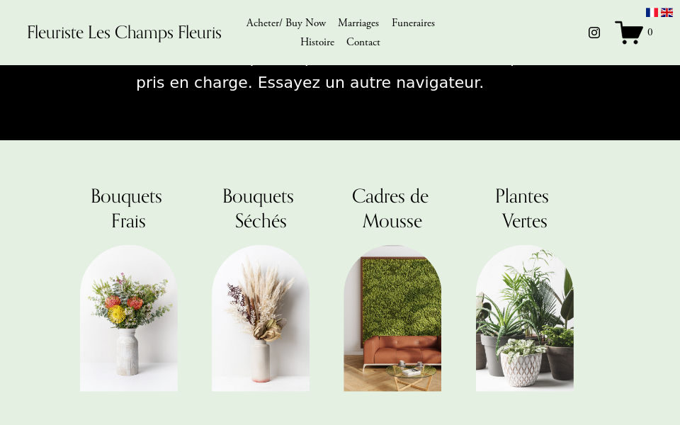 leschampsfleuris.com/ screen capture