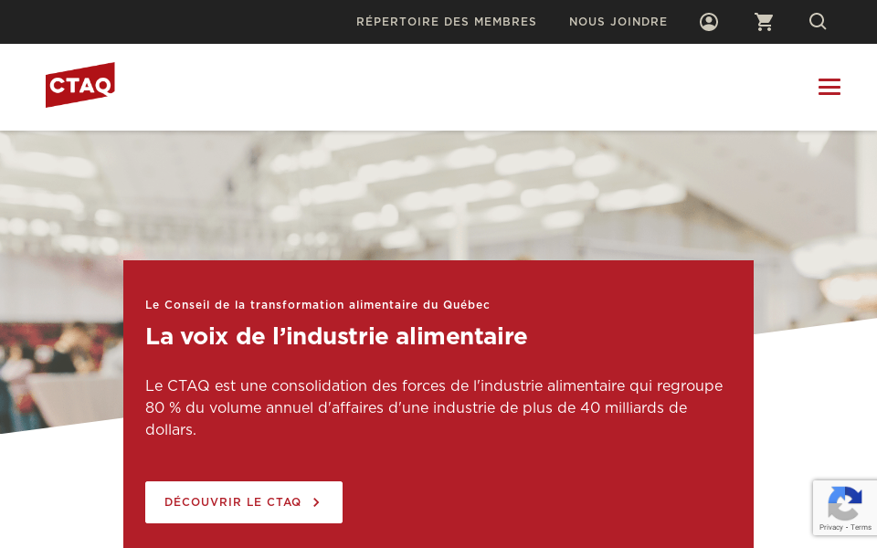 conseiltaq.com/ screen capture