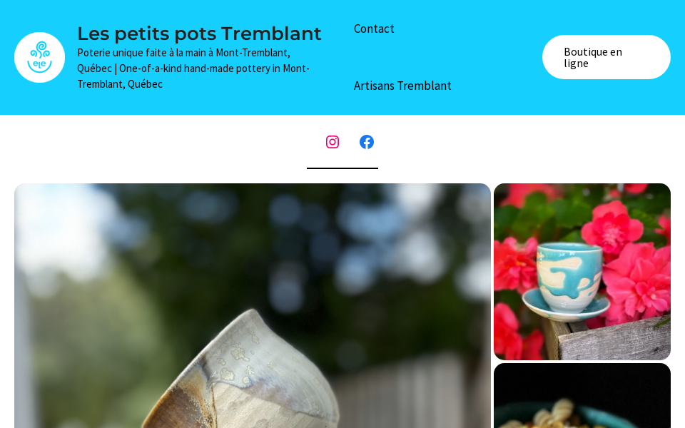 www.lespetitspotstremblant.ca/ screen capture