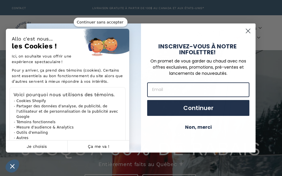 audvik.com/ screen capture