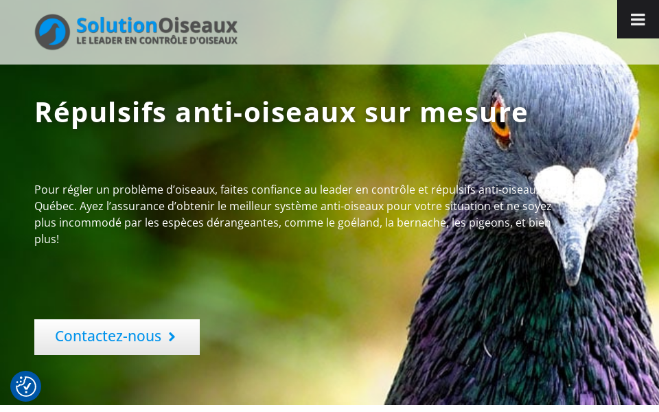 antioiseaux.ca/ screen capture