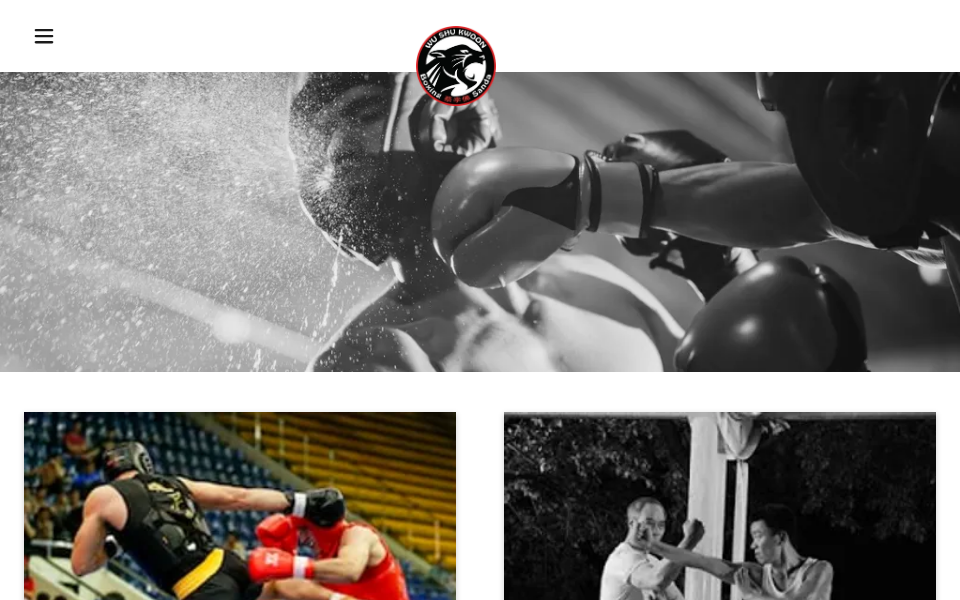 wushukwoon.com/ screen capture