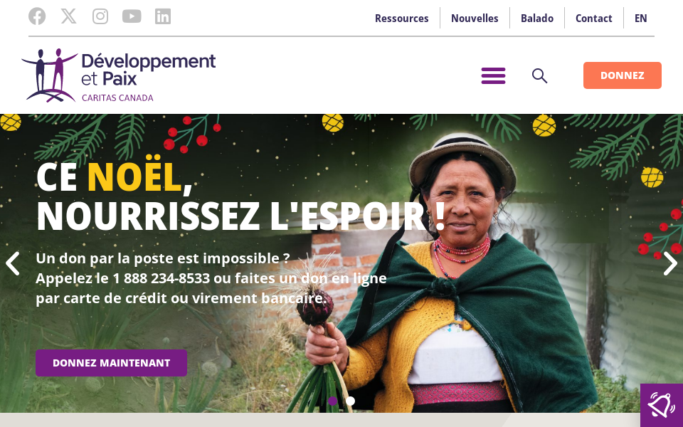 devp.org/ screen capture