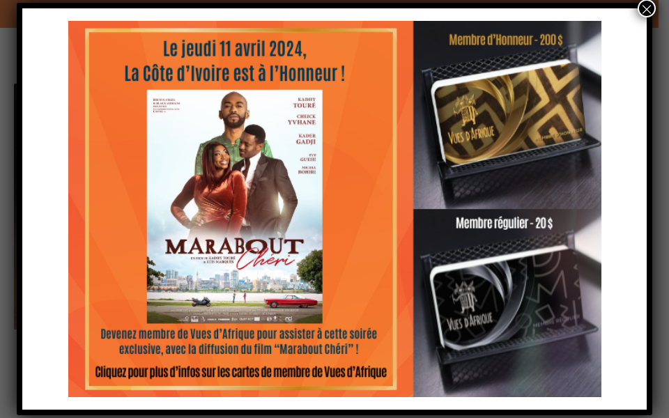 vuesdafrique.org/ screen capture