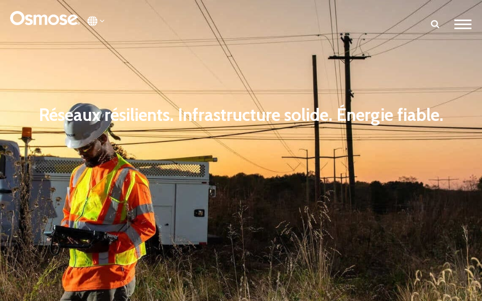 effigis.com screen capture