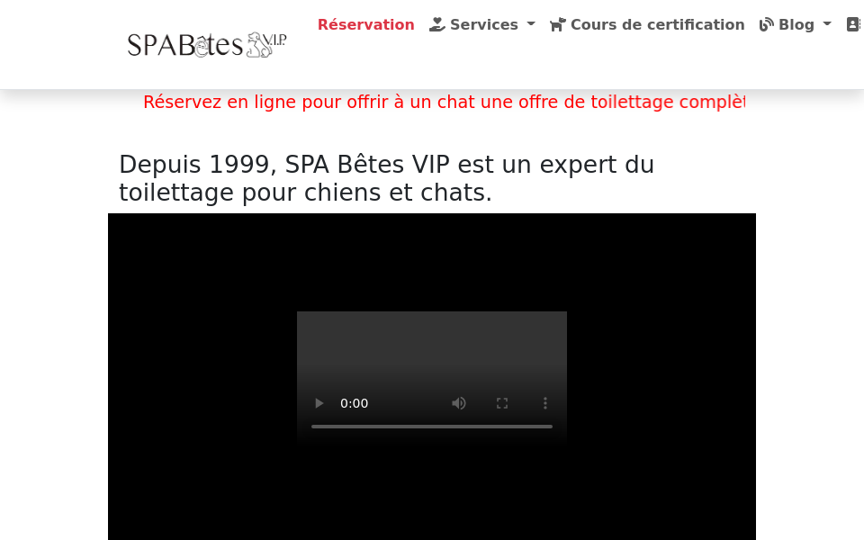 spabetesvip.com/ screen capture