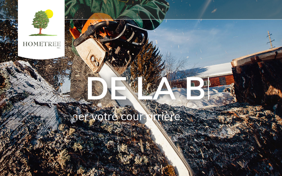 hometree.ca/ screen capture